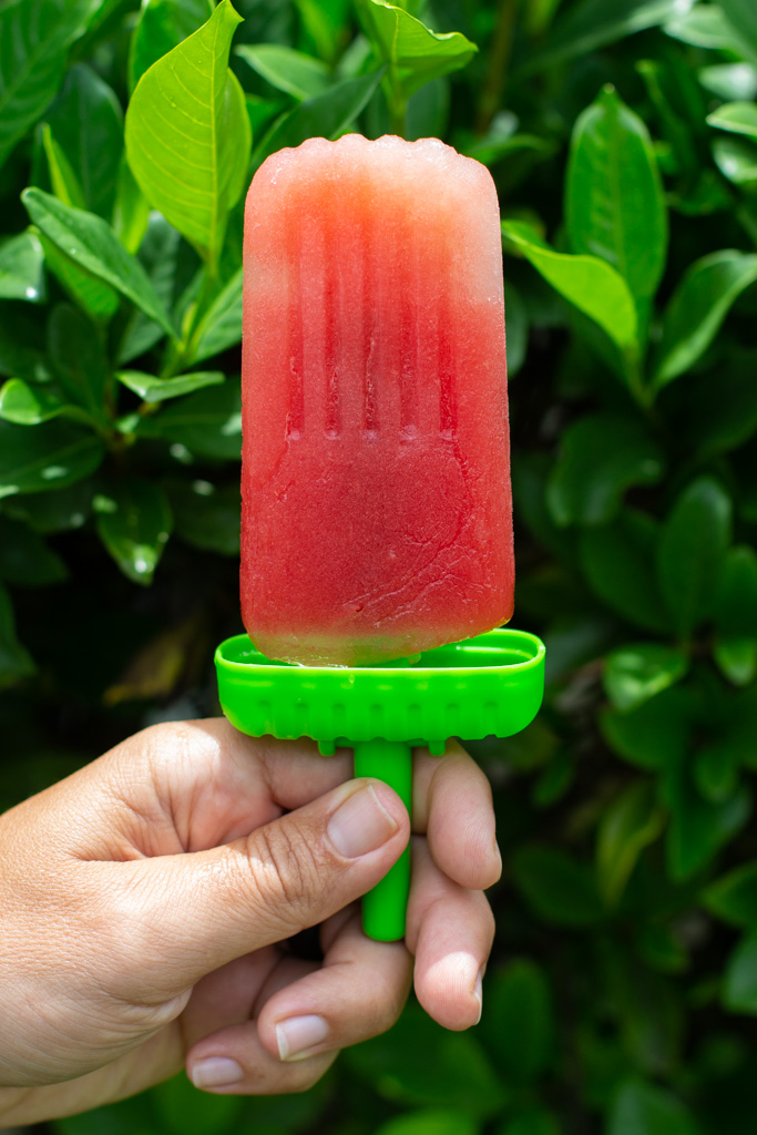 A hand holding a homemade watermelon popsicle with a green base in front of a green bush outside. 