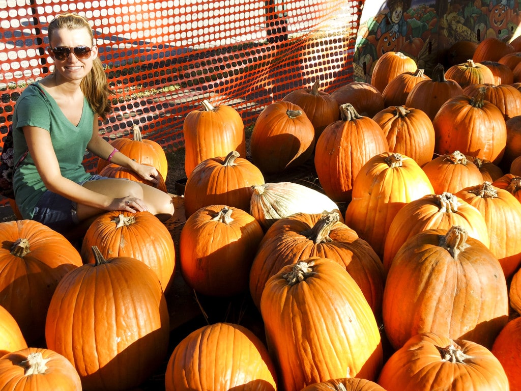 A young woman kneeling down in a pumpkin patch next to a red fence. 