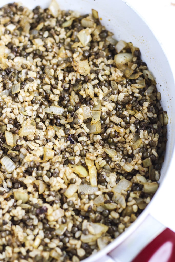 A large pan of lentils, onion, and brown rice on a white background. 