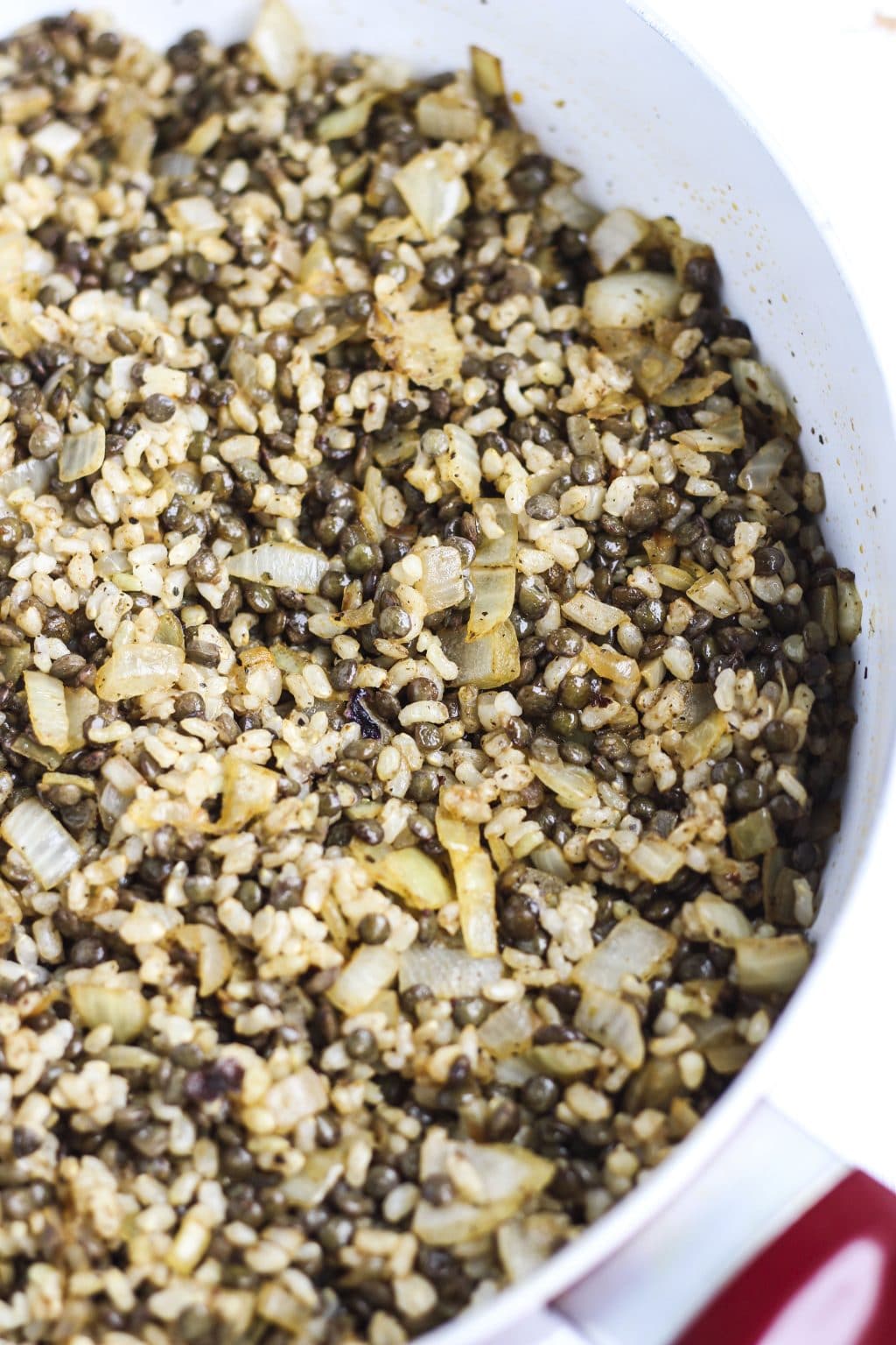 A large pan of lentils, onion, and brown rice on a white background.