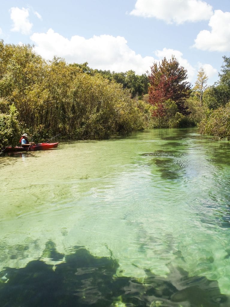 A man wearing a hat is fishing in his canoe which is parked on the bank of the Weeki Wachee River.