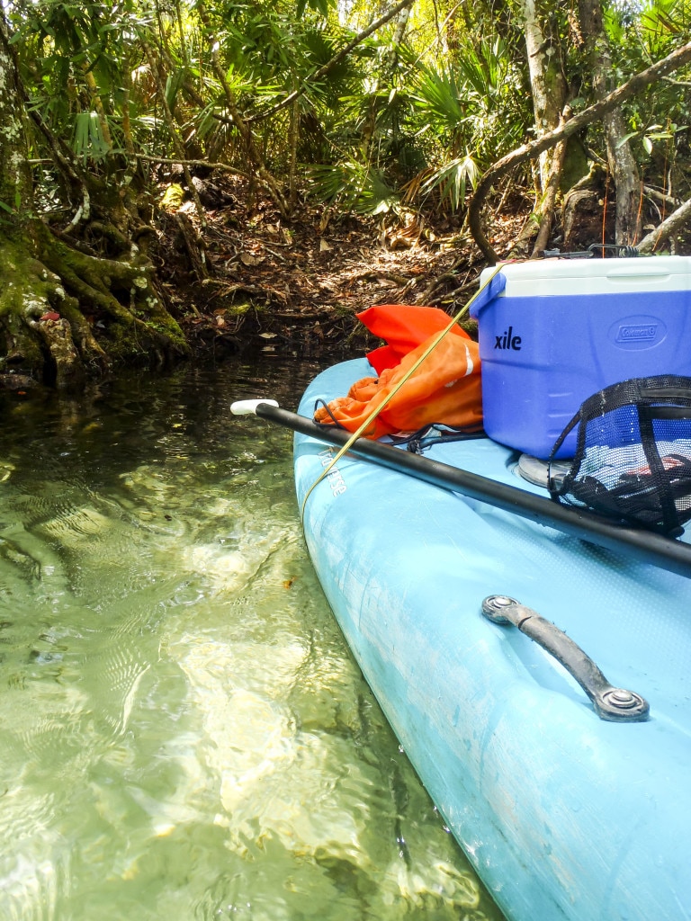 A blue stand up paddle board with a cooler strapped to is is parked on the Weeki Wachee river bank.