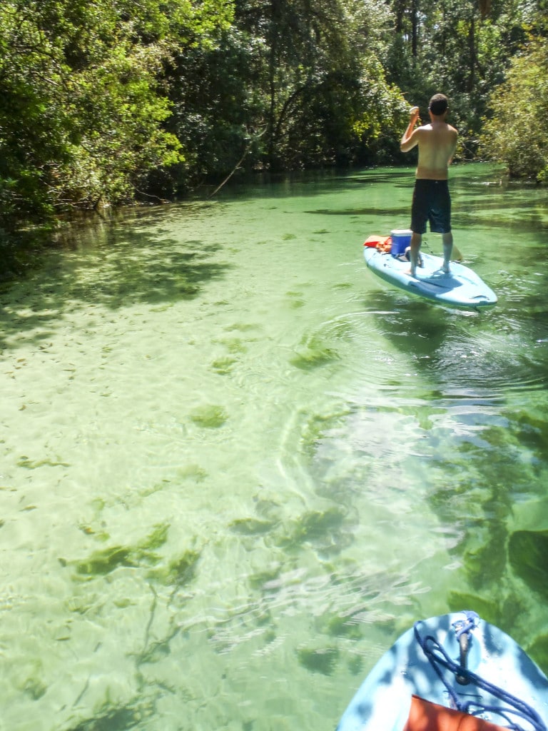 A man on a blue stand up paddle board paddling up the Weeki Wachee River on a sunny day.