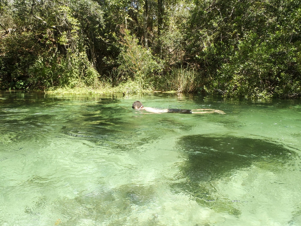 A man swimming underwater in the Weeki Wachee River. 