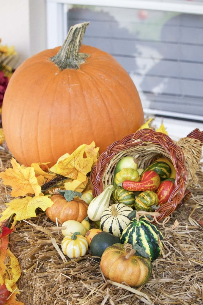 A wicker cornucopia filled with little pumpkins next to a large pumpkin on top of a hay bale. 
