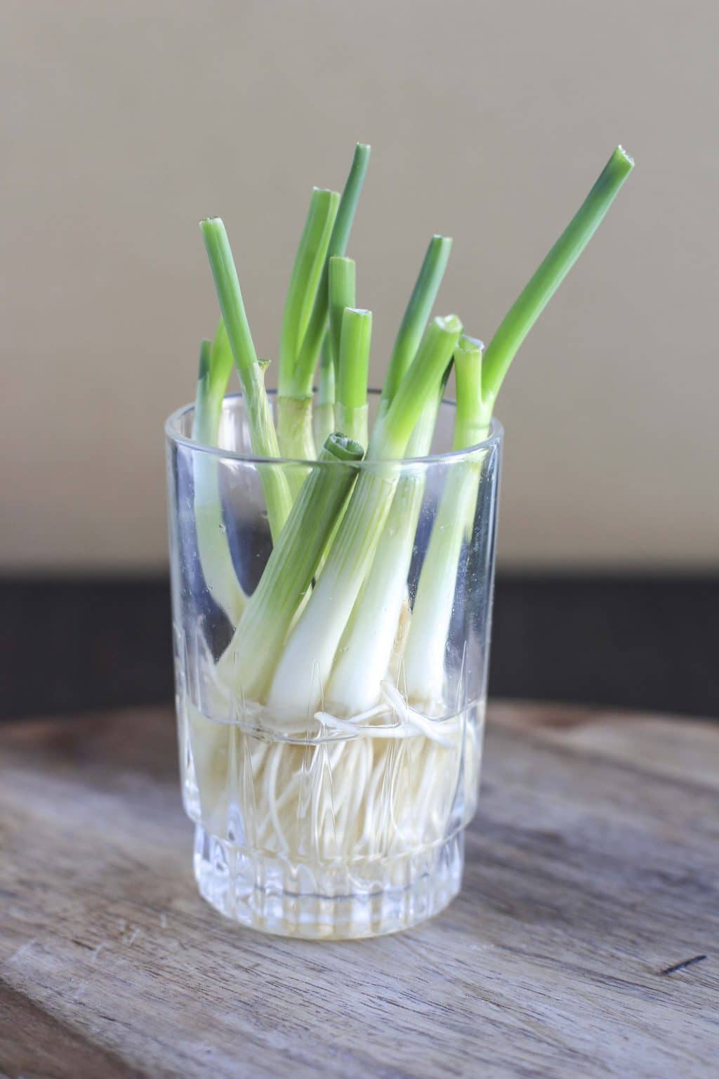 A small glass cup filled with green onions roots on a wooden platter.