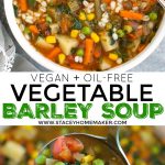 Vegan Vegetable Barley Soup - Stacey Homemaker