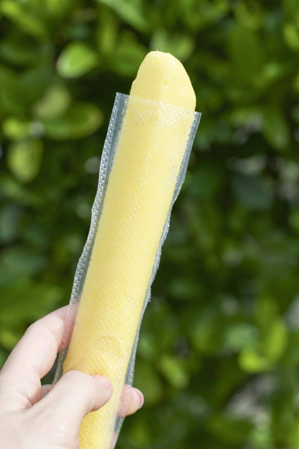 A hand holding a mango popsicle in front of a green plant. 