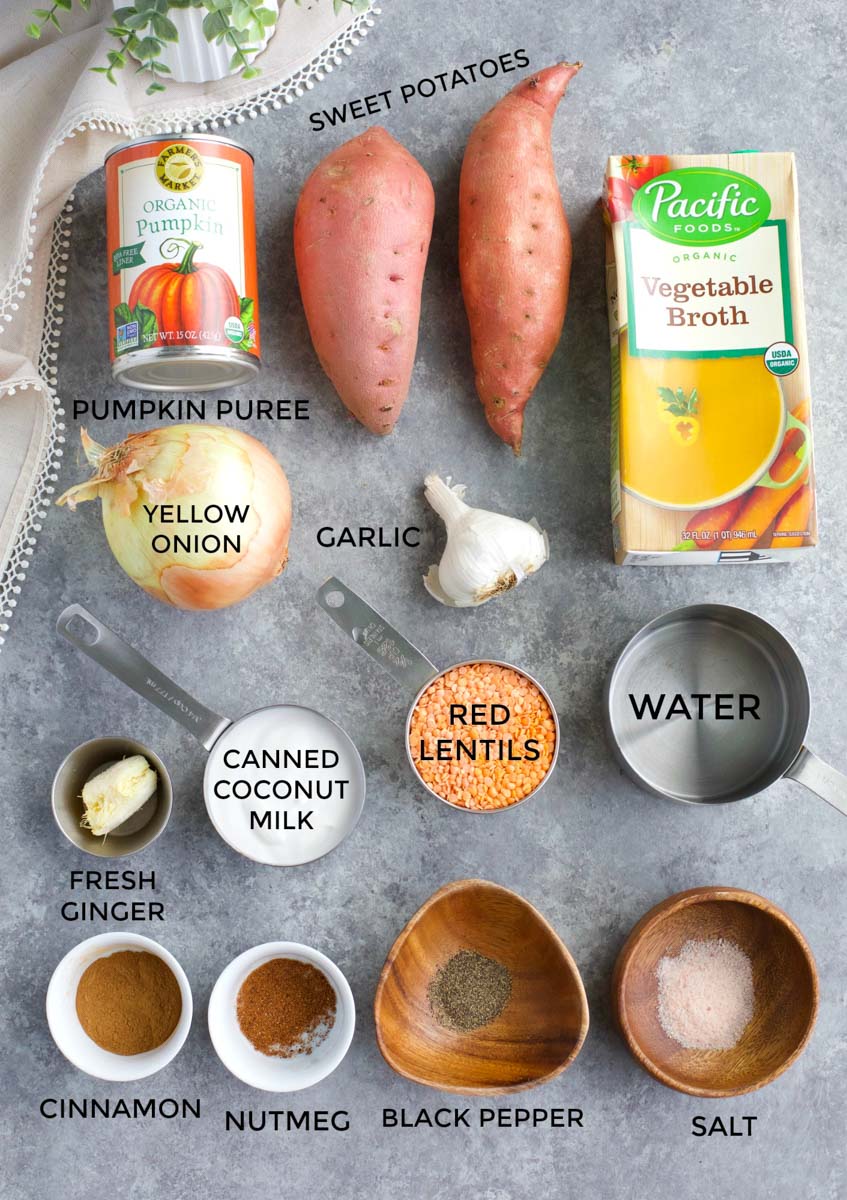 All of the ingredients needed to make the soup laid out on a gray table. 