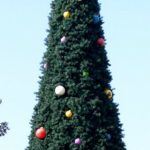 List of 5 free christmas activities to do in Disney World