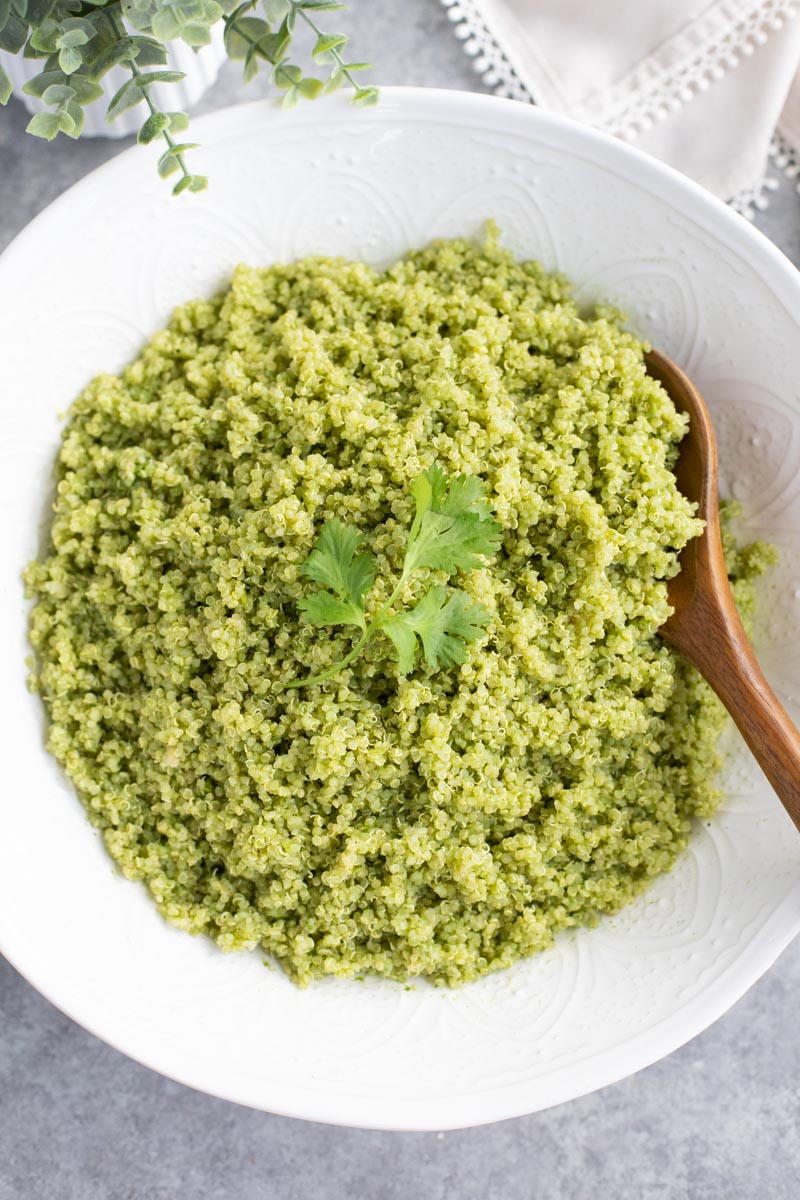 A large white bowl filled with quinoa next to a plant on a gray background. 