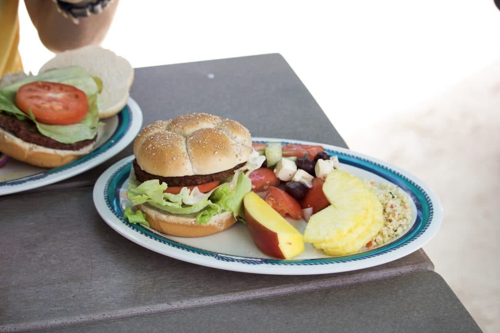 Vegetable burger, fresh fruit, couscous salad, and greek salad on a blue-rimmed plate on top of a picnic table at Castaway Cay.