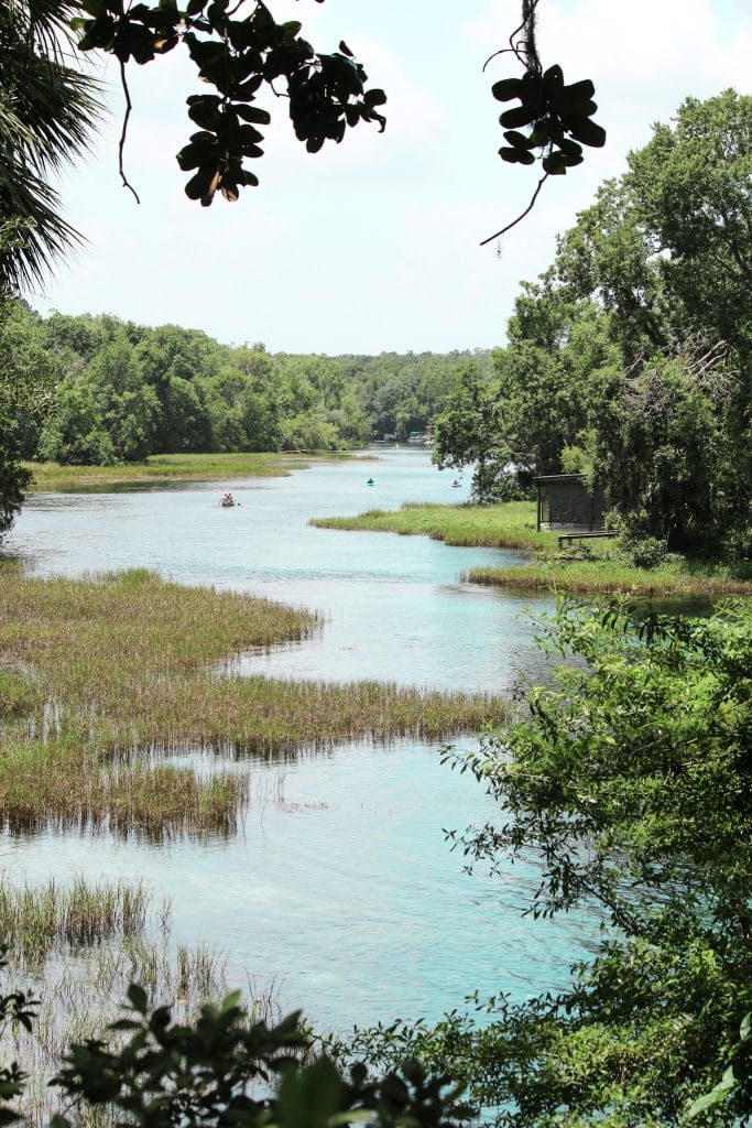 A beautiful view of Rainbow Springs from the nature trail. 