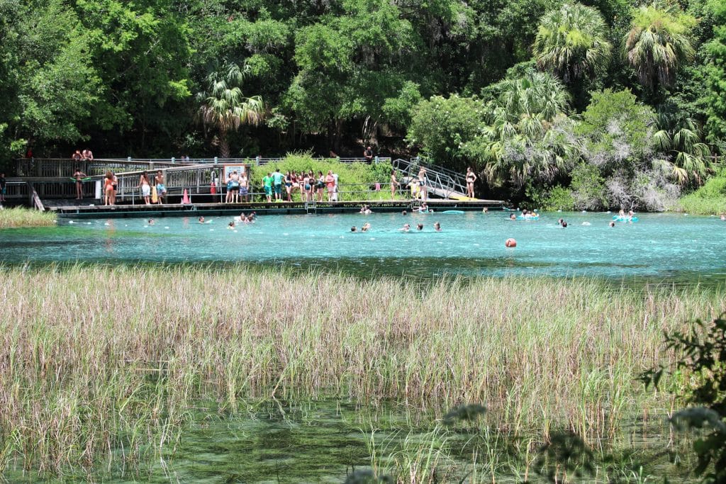 A view of the headspring and floating dock at Rainbow Springs State Park from the nature trail. 