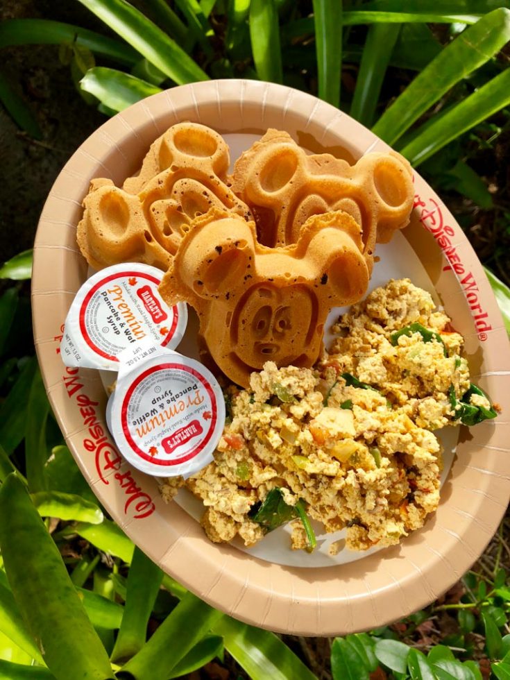 5 Delicious Quick Service Meals at Disney World That Vegans Will Love!