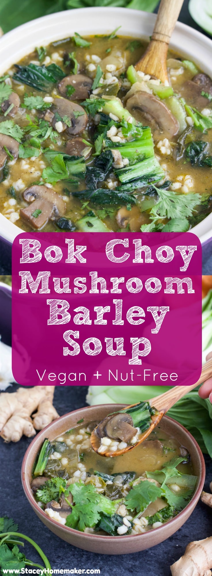 Bok Choy Miso Soup Stacey Homemaker