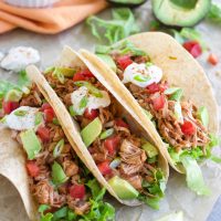 The Best Jackfruit Tacos