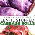 Vegan Cabbage Rolls - Stacey Homemaker