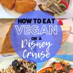 Disney Cruise Vegan Food Guide