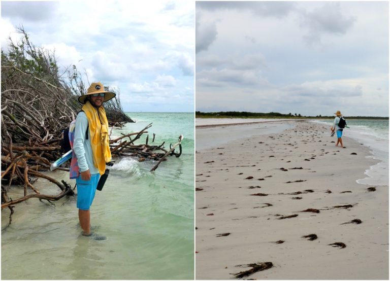 Ultimate Guide to Caladesi Island + How to Walk There!