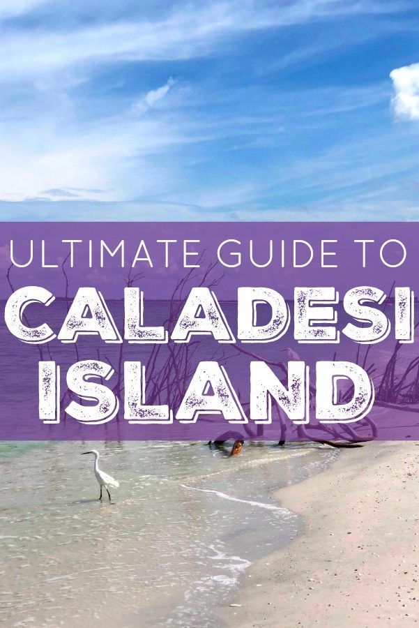 Ultimate Guide to Caladesi Island