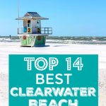 List of the Top 14 Best Clearwater Beach Restaurants