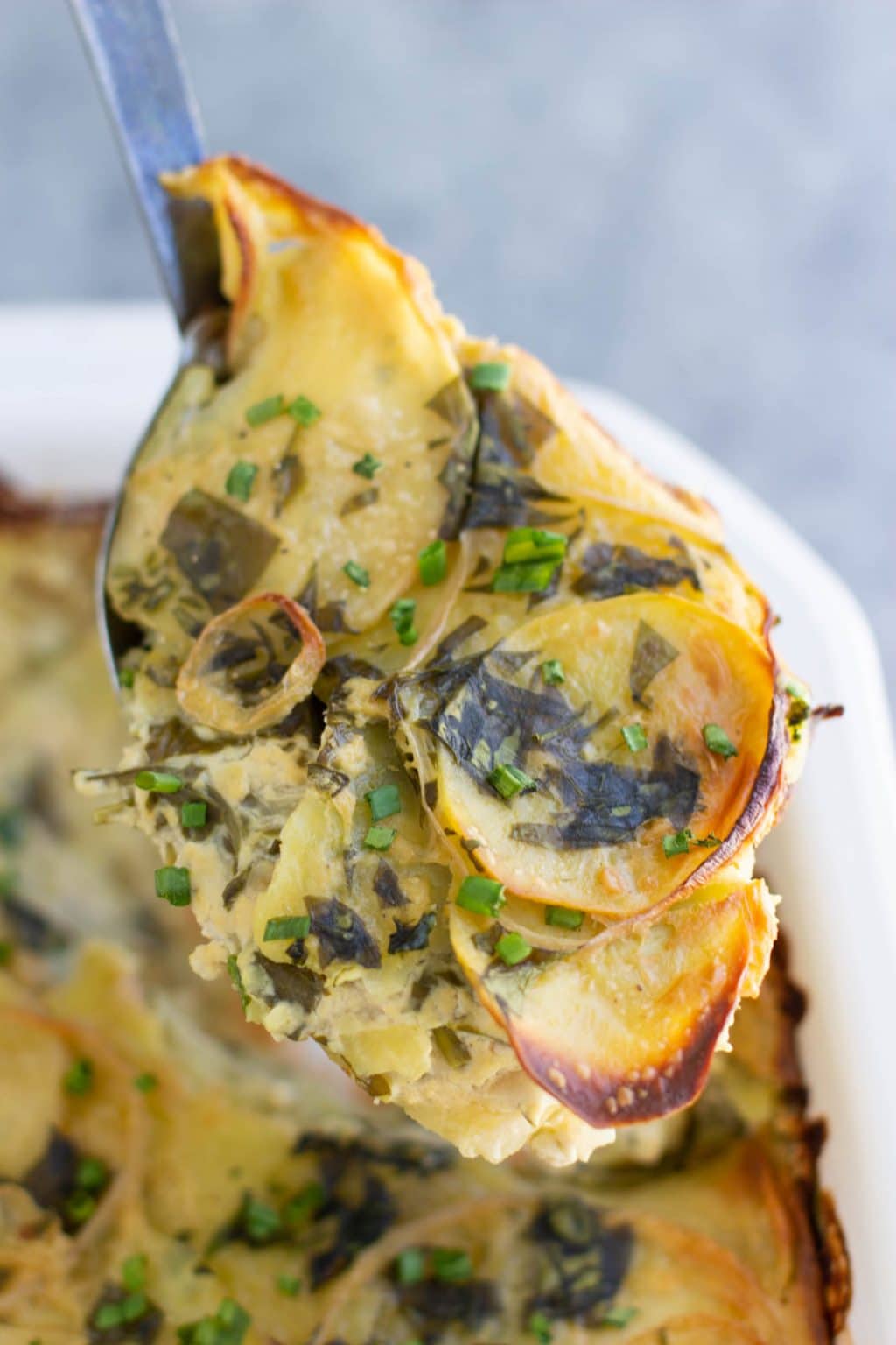 A spoon filled with scalloped potatoes over a white casserole dish on a grey background.