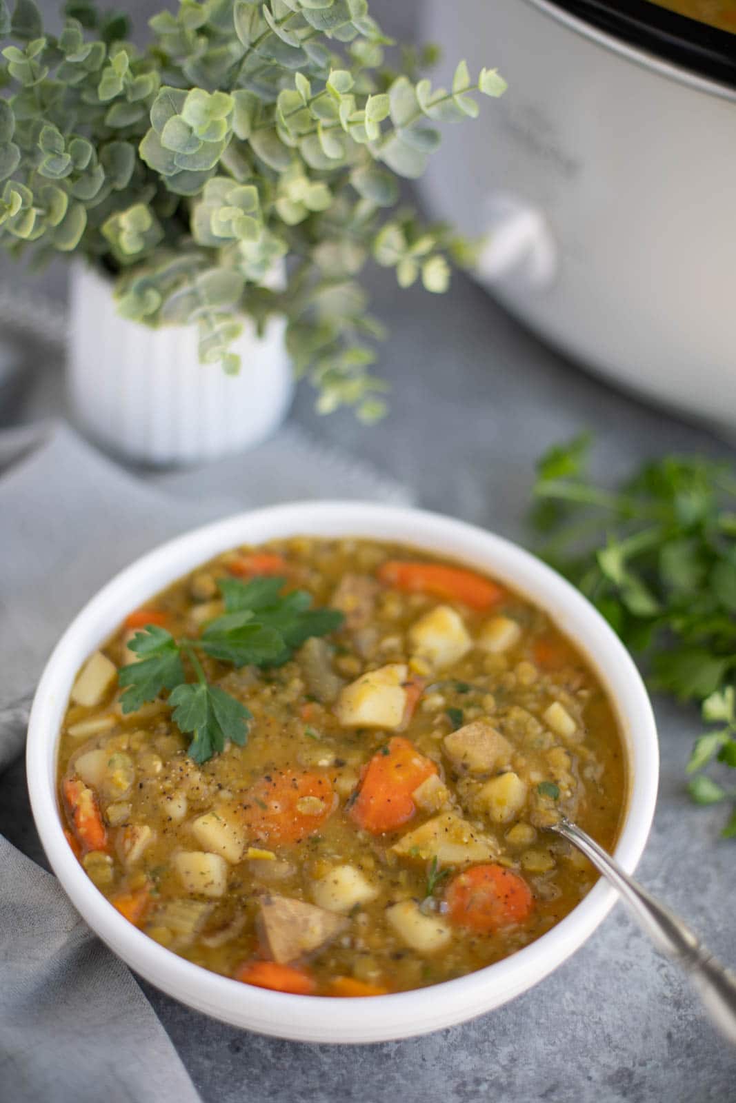 Soup in a white bowl with a spoon next to a small plant on a gray background.