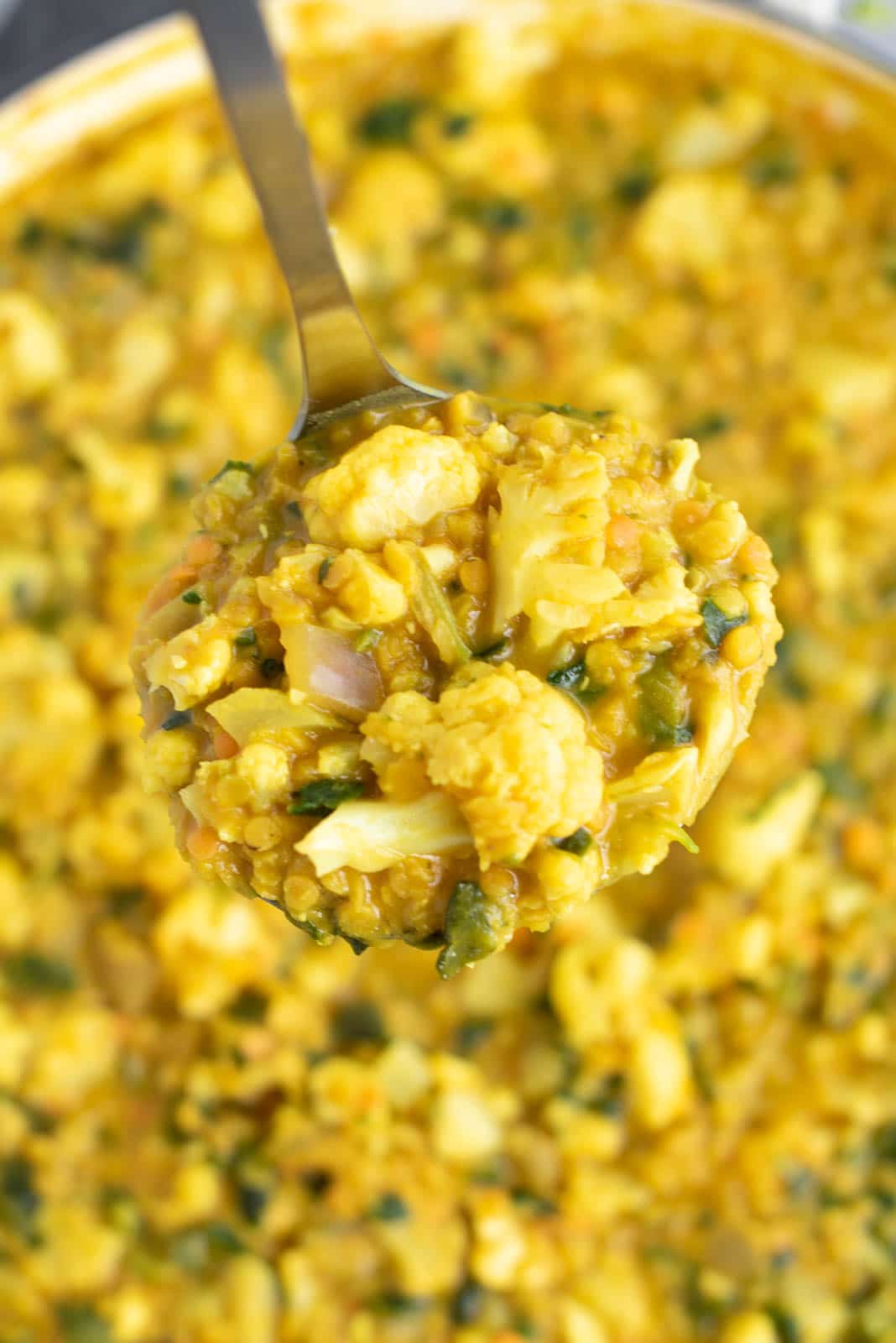 A ladle filled with curried vegetables over a large pan.